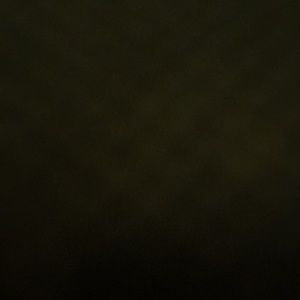 Meet your Posher, Jocelyn